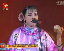 二姨太扮演者