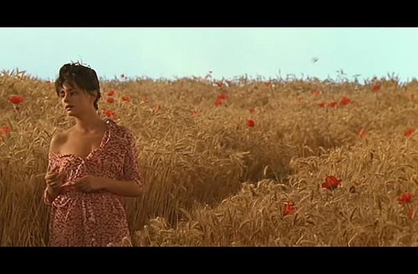 阿诺克·格林布戈