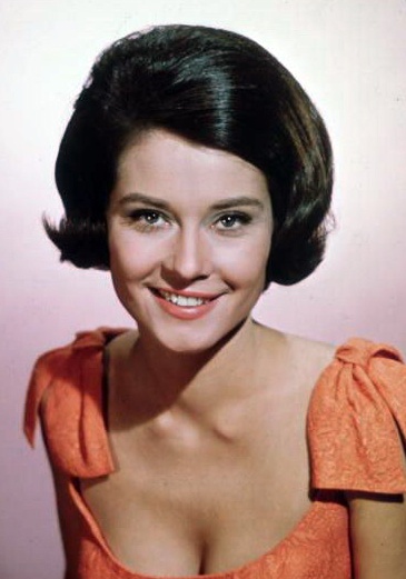Diane Baker/黛安·贝克