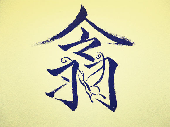 -照片