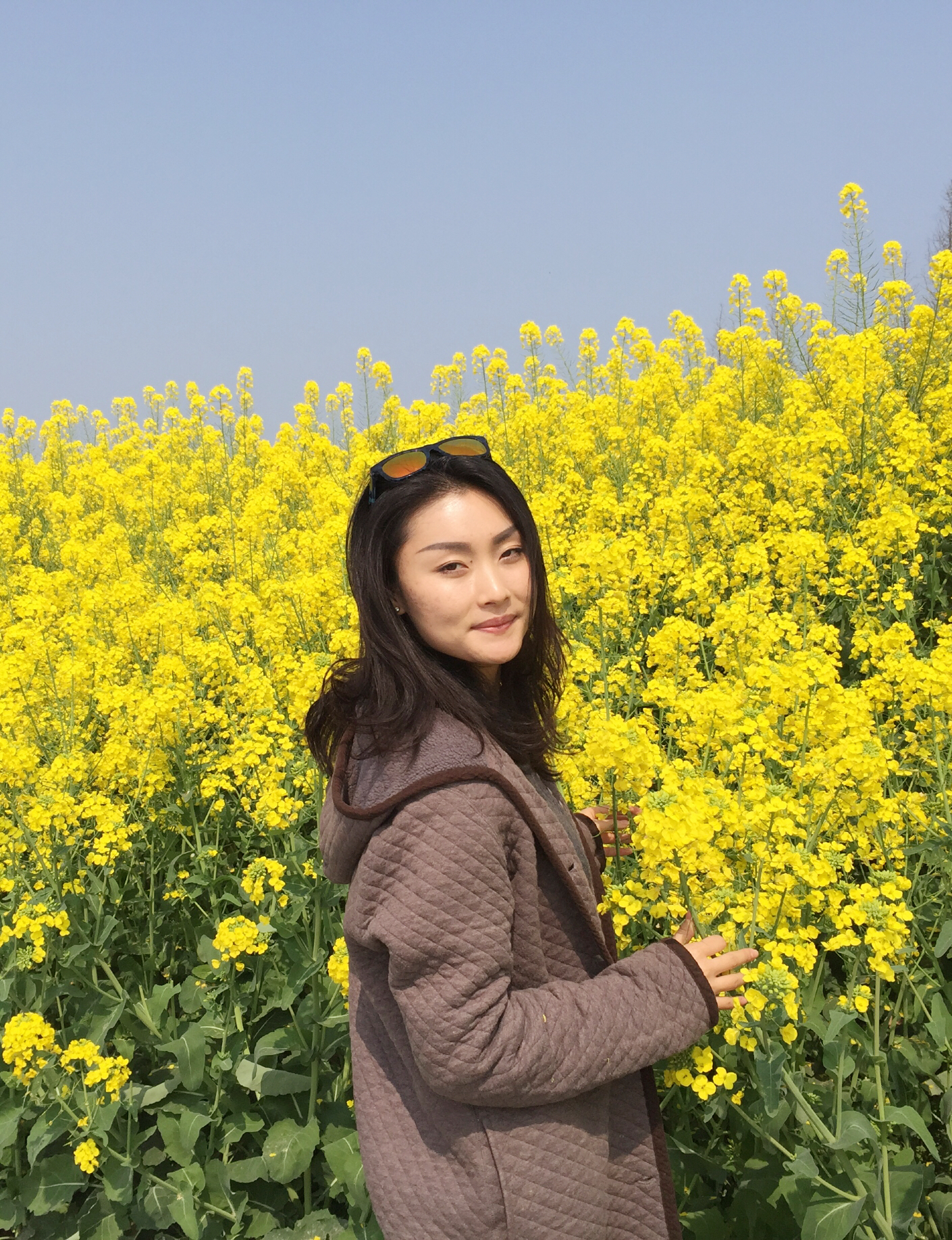 陈菊扮演者