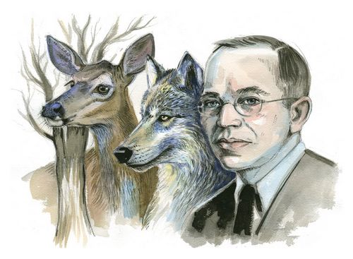 奥尔多·雷Aldo Ray照片