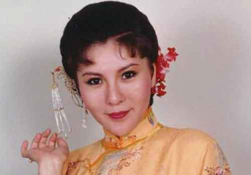 赵丽凤扮演者