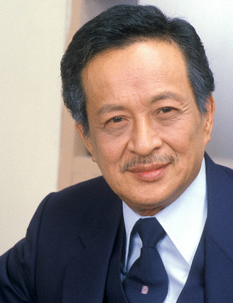 陈文亮/陈光扮演者