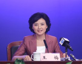 王梅照片