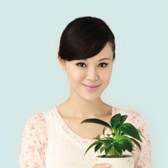 佟月娇 扮演者 关悦