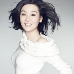 林红 扮演者 徐帆