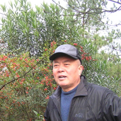 兆惠 扮演者 尼格木图