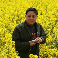 柳得胜 扮演者 董晓