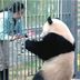 春儿 扮演者 萌萌