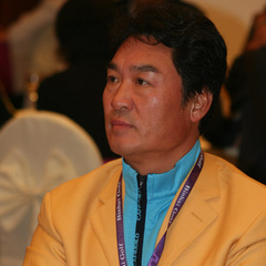 何进 扮演者 祝延平