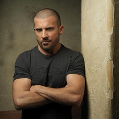 LincolnBurrows 扮演者 多米尼克·珀塞尔