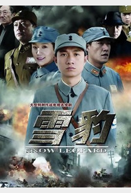 雪豹封面图