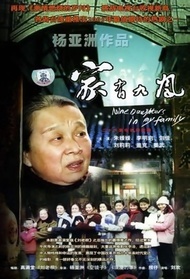 家有九凤封面图