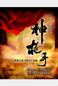 神枪手封面图