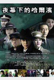 夜幕下的哈尔滨封面图