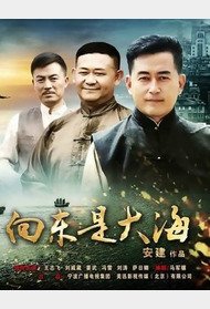 向东是大海封面图