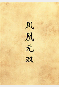 凤凰无双封面图