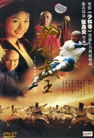 少林武王封面图