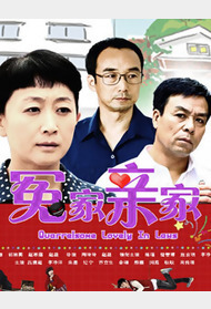 冤家亲家封面图
