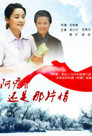 还是那片情封面图