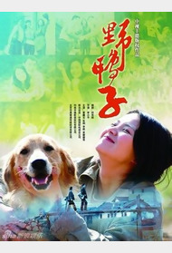 野鸭子封面图