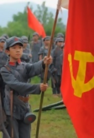 少共国际师封面图