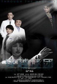 穿越谜团封面图