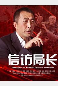 信访局长封面图