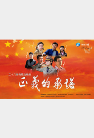 正义的承诺封面图
