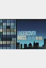 卧底封面图