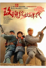 玫瑰绽放的年代封面图