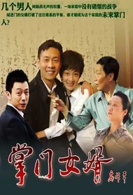 掌门女婿封面图