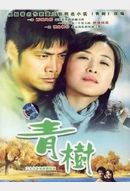 青树封面图