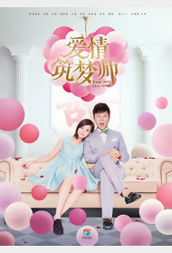 爱情筑梦师封面图