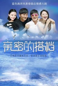 亲密的搭档封面图
