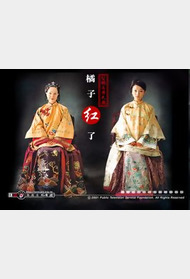 橘子红了封面图