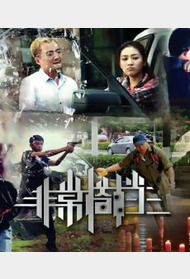 非常搭档封面图