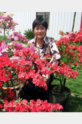 郑素英个人介绍