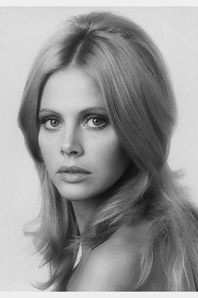 布里特·艾克拉诺个人介绍