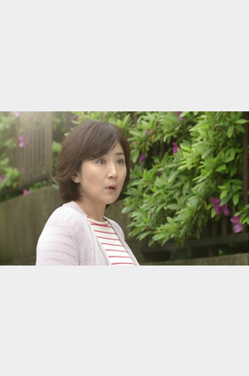 松下由树个人介绍