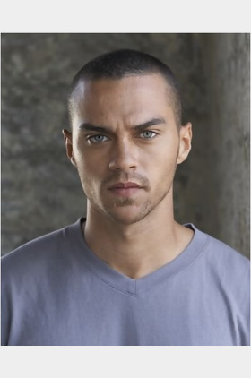 Jesse Williams个人介绍