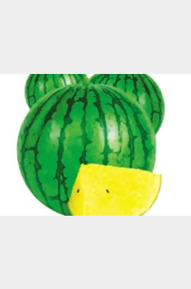 小麒麟个人介绍