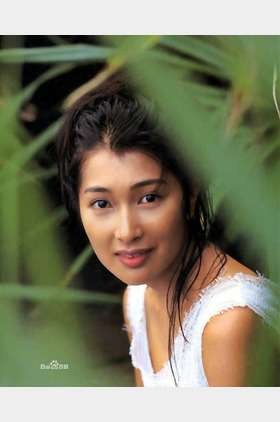 鹤田真由个人介绍