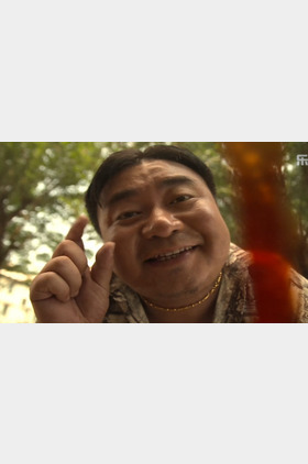 唐宁个人介绍