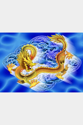 飞龙个人介绍