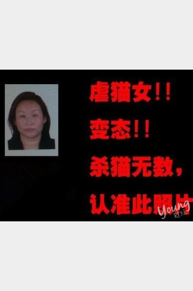 周颖个人介绍