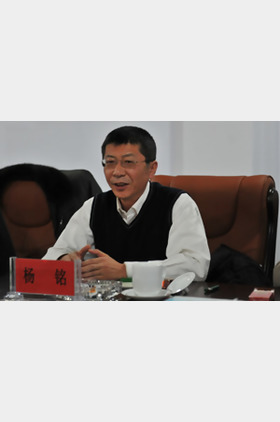 杨铭个人介绍