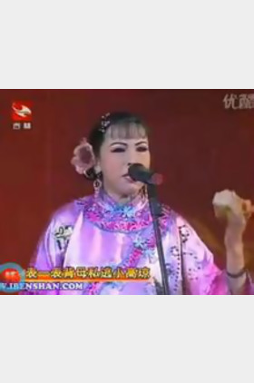 李淑静个人介绍