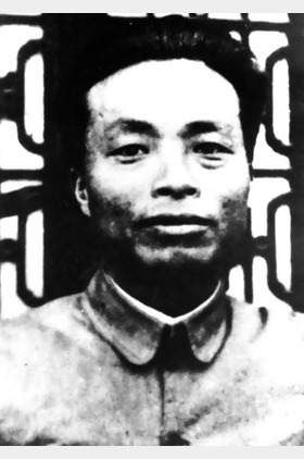张浩个人介绍